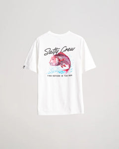 SALTY CREW - SNAPPER PREMIUM TEE