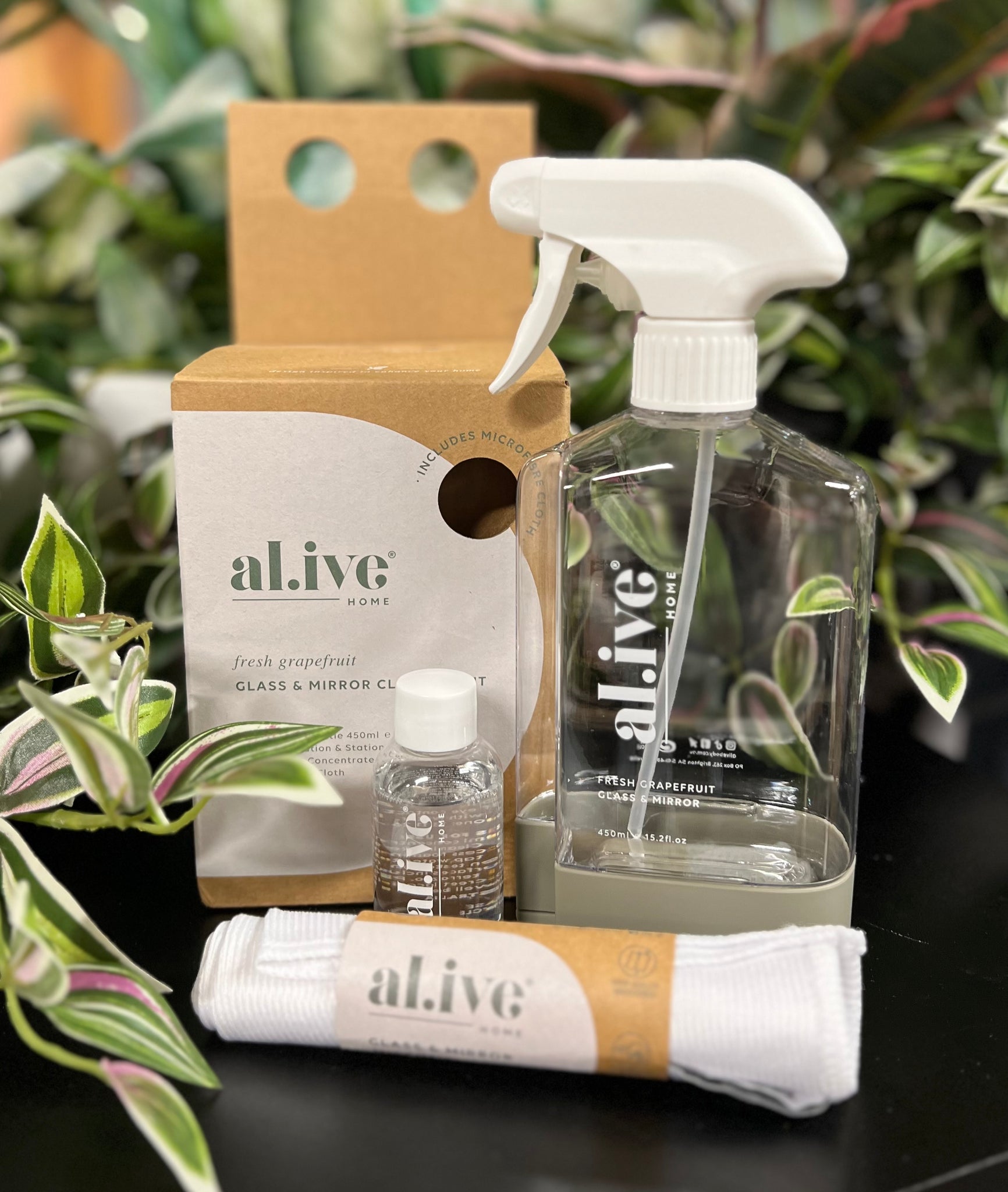 AL.IVE - GLASS AND MIRROR CLEANING KIT