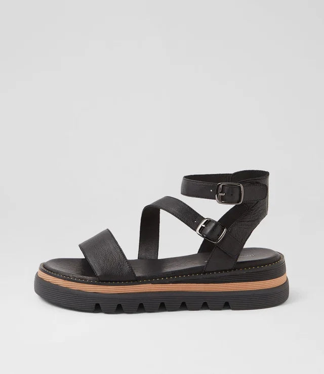 DJANGO AND JULIETTE - SELIMA