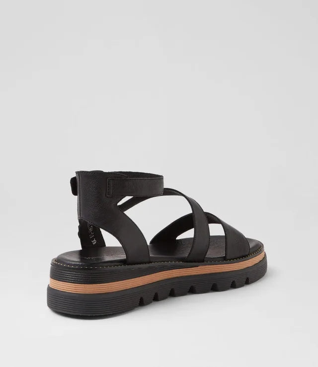 DJANGO AND JULIETTE - SELIMA