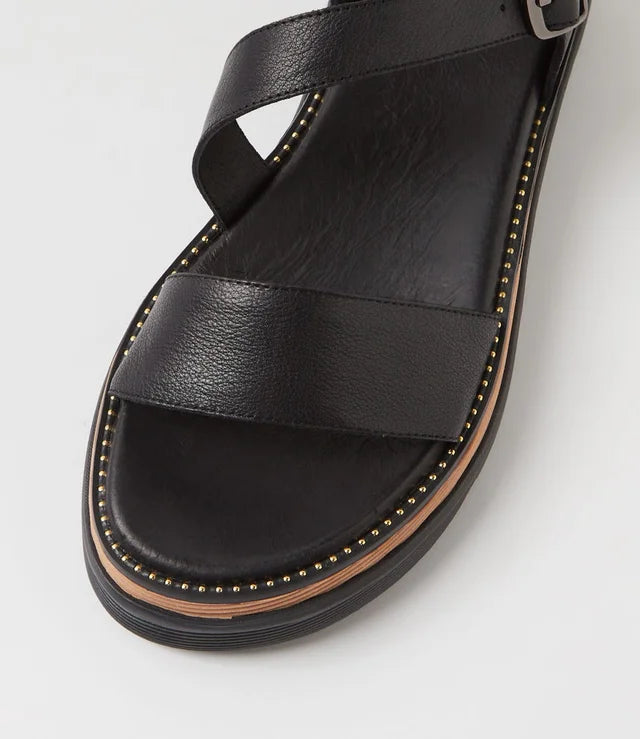 DJANGO AND JULIETTE - SELIMA