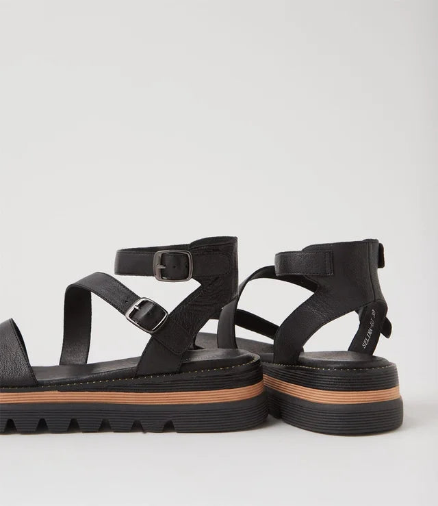 DJANGO AND JULIETTE - SELIMA