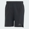 ADIDAS - D4T HR SHO