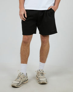 SILENT THEORY - ESSENTIAL THEORY SHORT